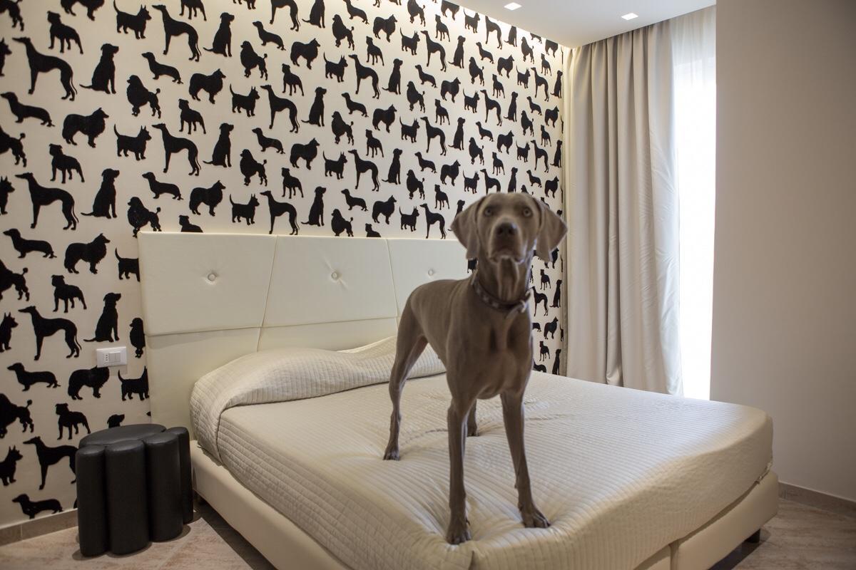 Hotel Principe Rimini Esterno foto